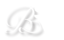 BSV_Logo_White